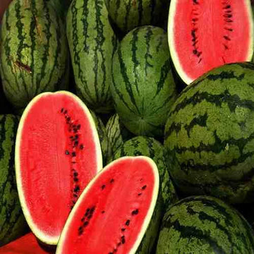 Premium Watermelon