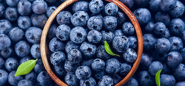 Premium Blueberry