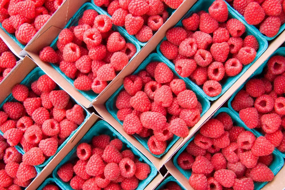 Premium Raspberry