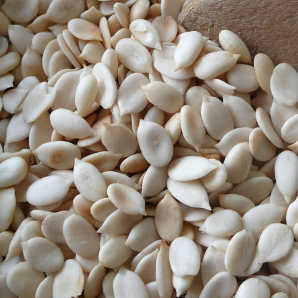 Melon Seed / Char Magaz