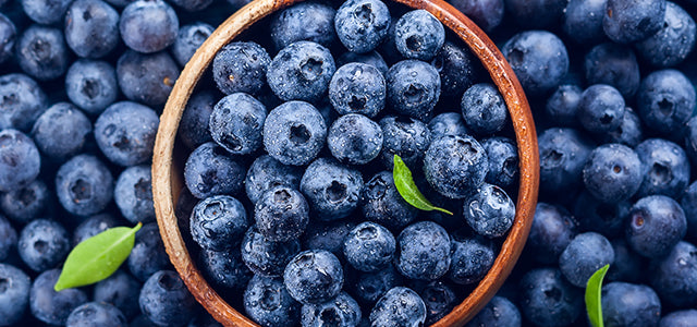 Premium Blueberry
