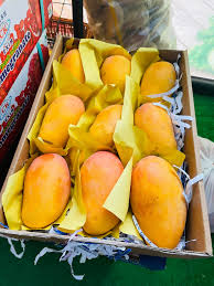 Yemeni Taimoor Mangoes – Premium Quality, Naturally Sweet